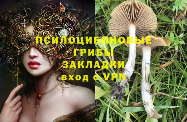 крисы Алексеевка