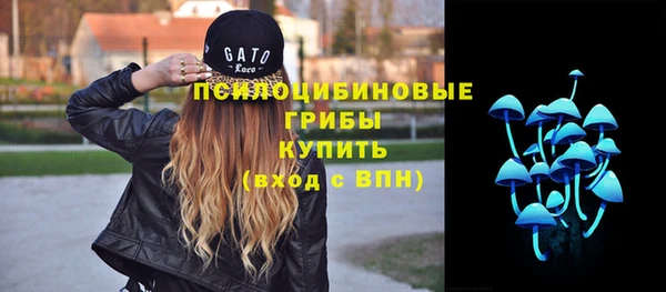 гидропоника Алзамай