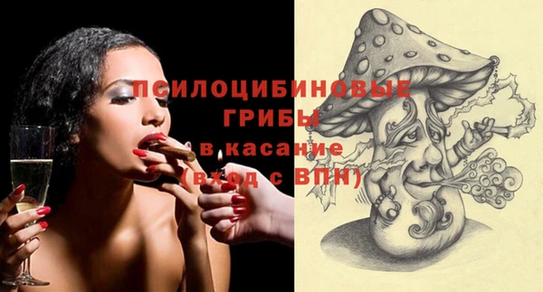 крисы Алексеевка
