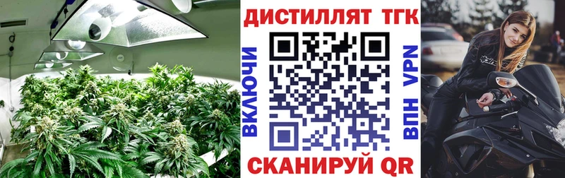 blacksprut ссылки  Апатиты  ТГК концентрат 